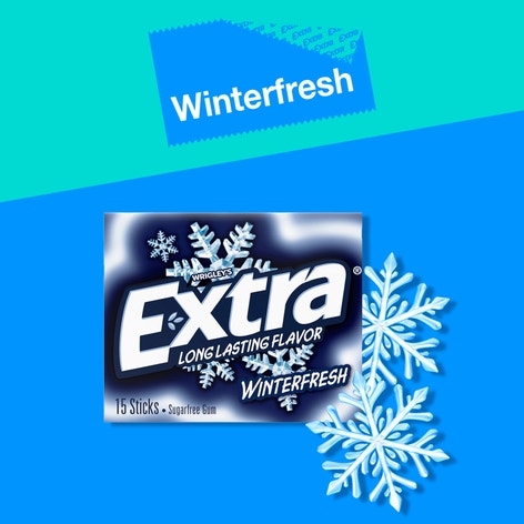EXTRA Winterfresh Sugarfree Chewing Gum, 15-Stick Single Pack