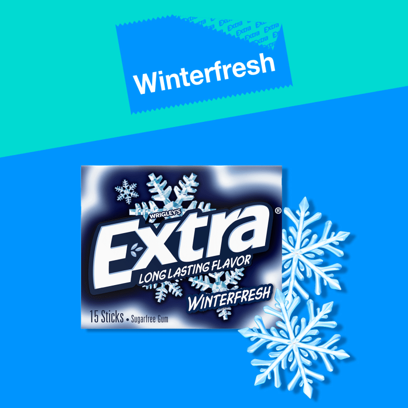 EXTRA Winterfresh Sugarfree Chewing Gum, 15-Stick Single Pack